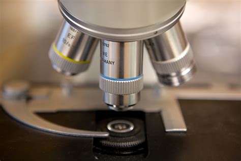 lenses on a microscope|Microscope .